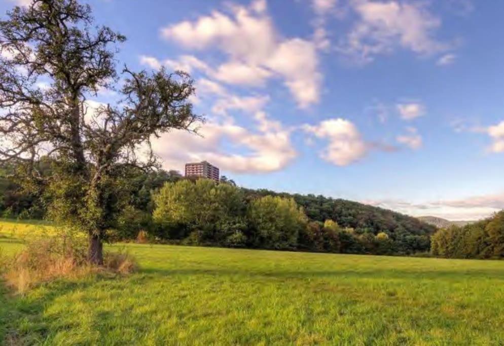 B603, Bezauberndes Appartement Lahnstein Kültér fotó