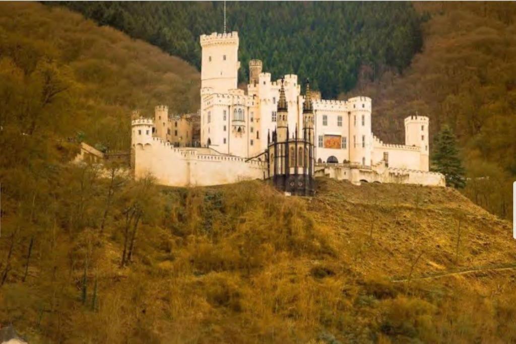 B603, Bezauberndes Appartement Lahnstein Kültér fotó