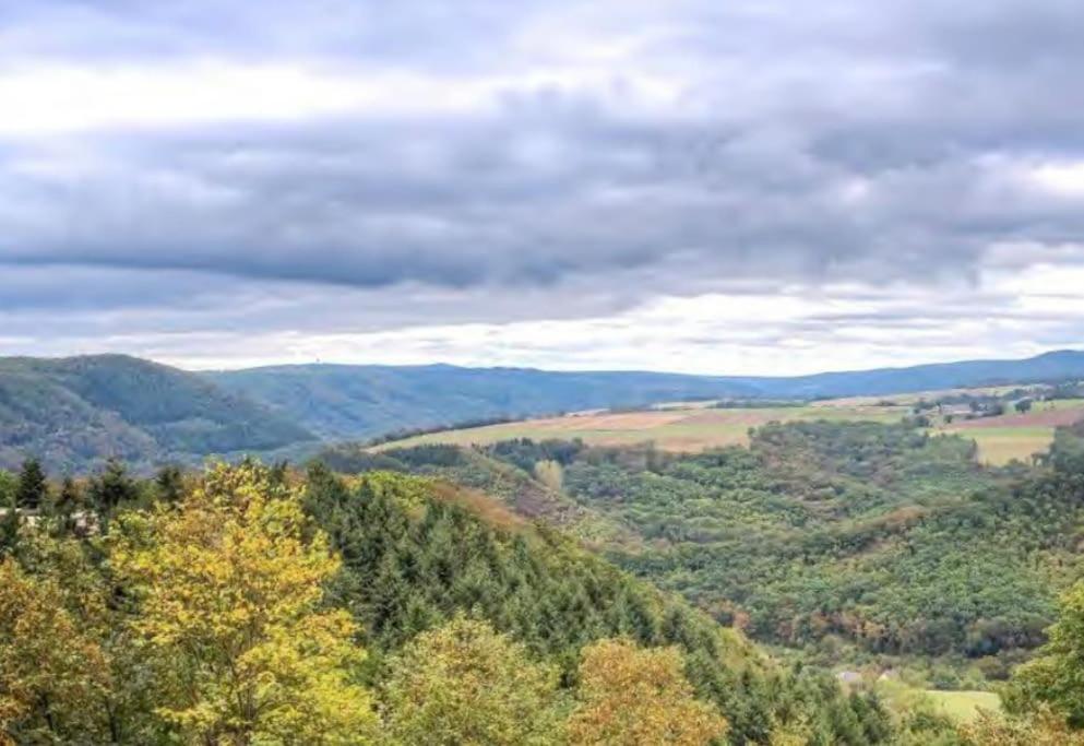 B603, Bezauberndes Appartement Lahnstein Kültér fotó